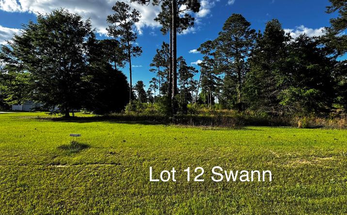 TBD Swann Dr. Lot 12 Block B, Cordele