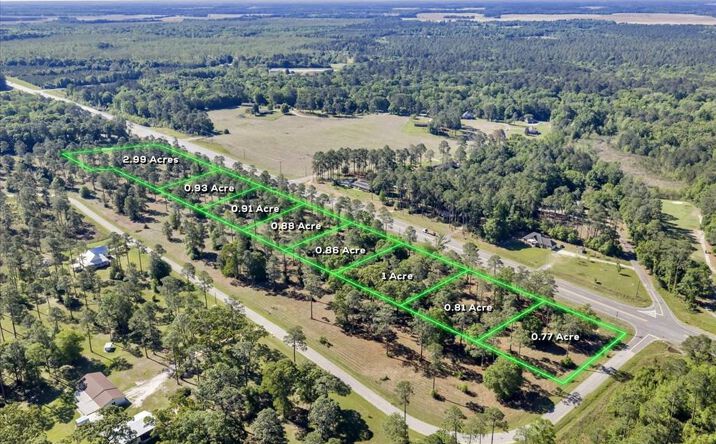 Pictures of Land property located at TBD US Hwy 280 W Lot 38H, Cordele, GA 31015 for sales - image #1