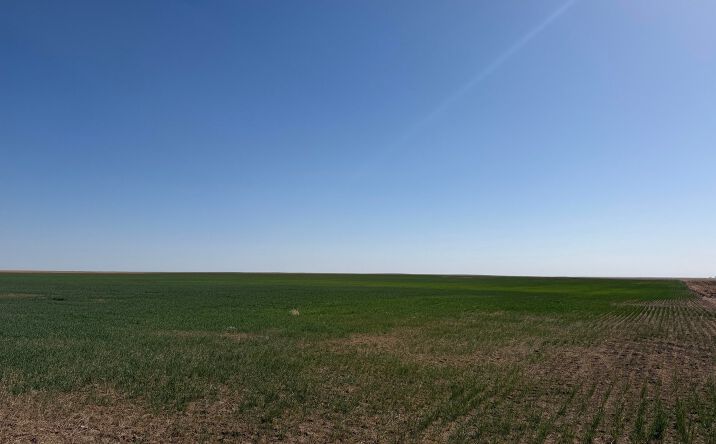 Pictures of Land property located at 600 6 Rds, Flagler, CO 80815 for sales - image #1