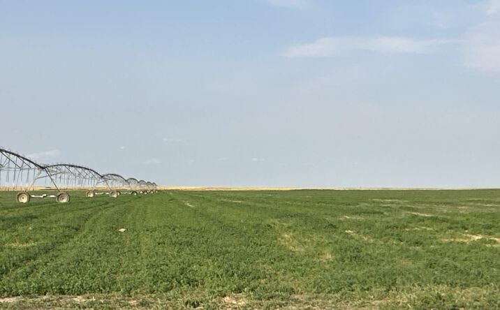 Pictures of Land property located at E½ of Section 3-6S-50W and Lots 1–3, Kit Carson County, Burlington, CO 80836, S½ of Section 33-5S-49W and Lots 1–4 of Section 33-5.5S-49W, Kit Carson County, Burlington, CO 80836 for sales - image #1