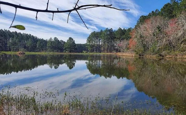 Pictures of Land property located at 221 1st St, Arabi, GA 31712 for sales - image #1