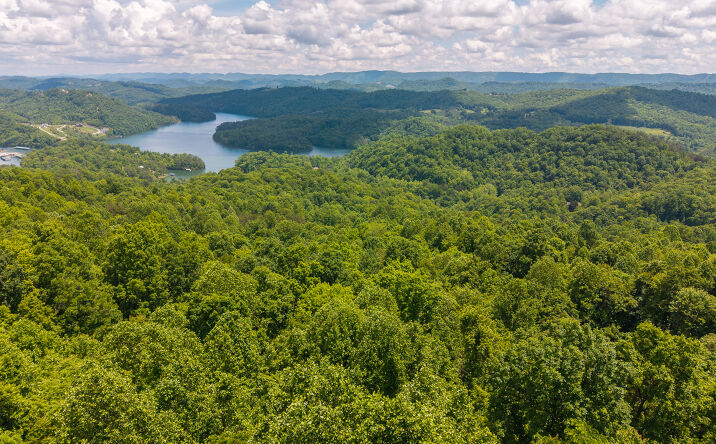 Pictures of Land property located at Lot 187 Cottage Lane, New Tazewell, TN 37825 for sales - image #1