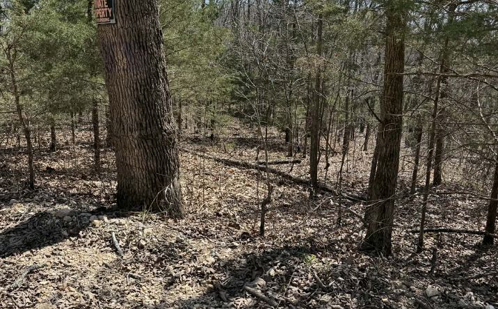 Pictures of Land property located at TBD CoRd E76-126 Track 40/41, Norwood, MO 65717 for sales - image #1