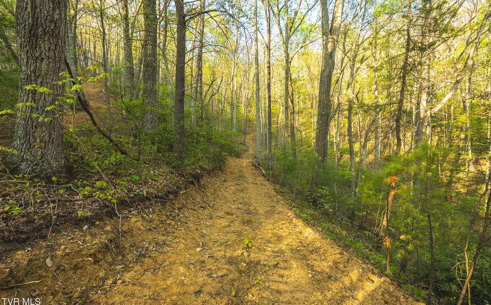 Pictures of Land property located at 0 Gentry Mountain Road, Flag Pond, TN 37657 for sales - image #1
