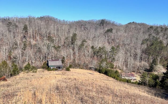 Pictures of Land property located at 1581 Lower Caney Valley Rd, Tazewell, TN 37879 for sales - image #1
