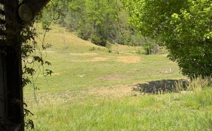 12 Acres Kyles Ford Hwy, Kyles Ford