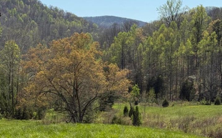 Pictures of Land property located at 2824 Goshen Valley Road 65 Acres, Church Hill, TN 37642 for sales - image #1