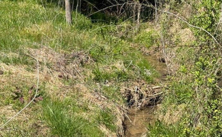Pictures of Land property located at 2824 Goshen Valley Road, Church Hill, TN 37642 for sales - image #1