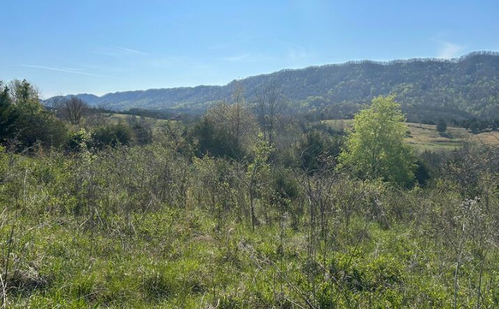 Pictures of Land property located at 6.92 Acres Rackum Road, Thorn Hill, TN 37881 for sales - image #1