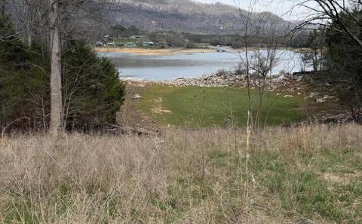 Pictures of Land property located at 102 Walnut Bend Dr, Whitesburg, TN 37891 for sales - image #1