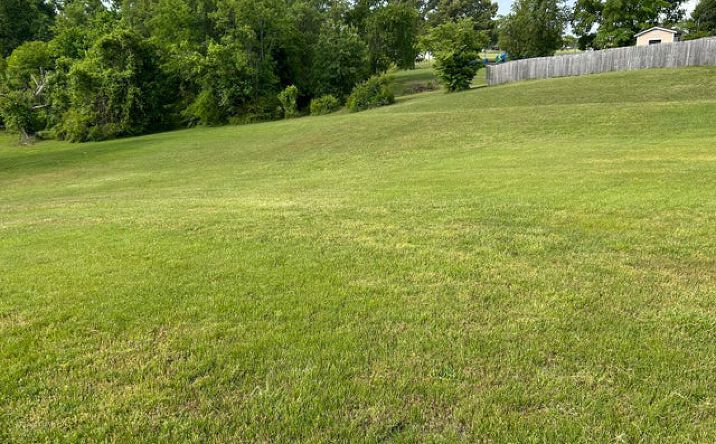 Pictures of Land property located at 5552 Thompsie Drive, Russellville, TN 37860 for sales - image #1