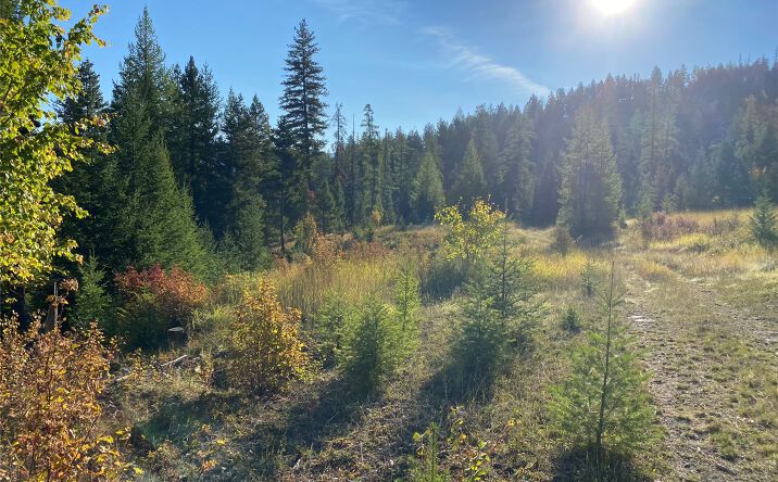 Nhh Whitetail Ridge Ridge, Kalispell