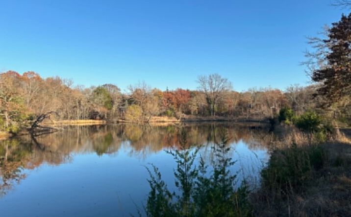 Pictures of Land property located at W County Road 3647 Road, Francis, OK 74844 for sales - image #1