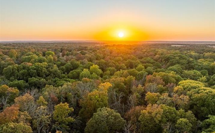 Pictures of Land property located at 26353 E 300 Road, Big Cabin, OK 74332 for sales - image #1