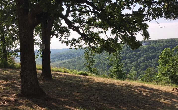 Pictures of Land property located at S Oak Lane, Cookson, OK 74427 for sales - image #1