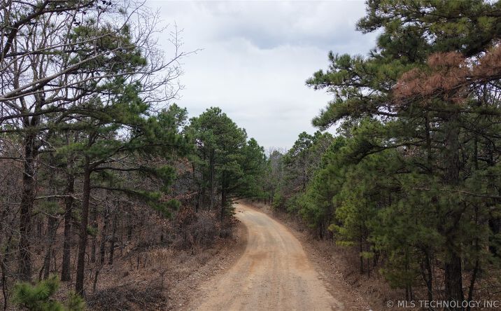 Pictures of Land property located at NE 1060, Panola, OK 74559 for sales - image #1