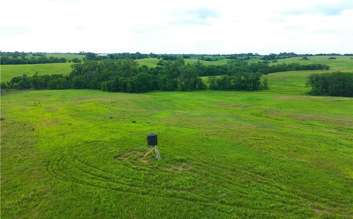 Pictures of Land property located at 0000 Pearl Road, Other, MO 64646 for sales - image #1