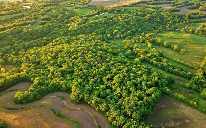 Pictures of Land, Special Purpose property located at 8005 SE State 116 Highway, Dearborn, MO 64439 for sales - image #1