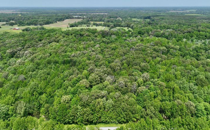 Pictures of Land property located at 1 Battleford Road, Stonefort, IL 62987 for sales - image #1