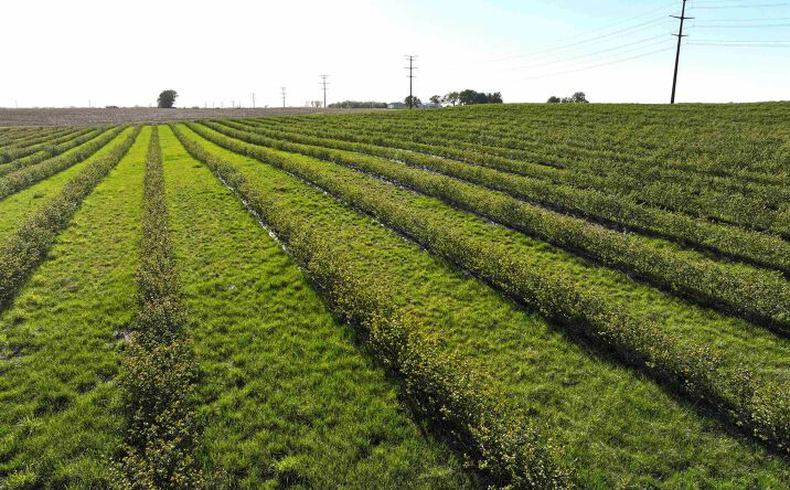 Pictures of Land property located at 6050 Duffy Road, Fairbank, IA 50629 for sales - image #1
