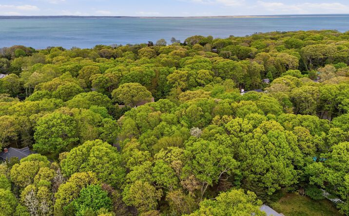 Pictures of Land property located at 29 Sheepfold Lane, East Hampton, NY 11937 for sales - image #1