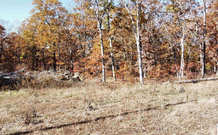 Pictures of Land, Special Purpose property located at 40 Acres Whitetail, Lincoln, MO 65338 for sales - image #1