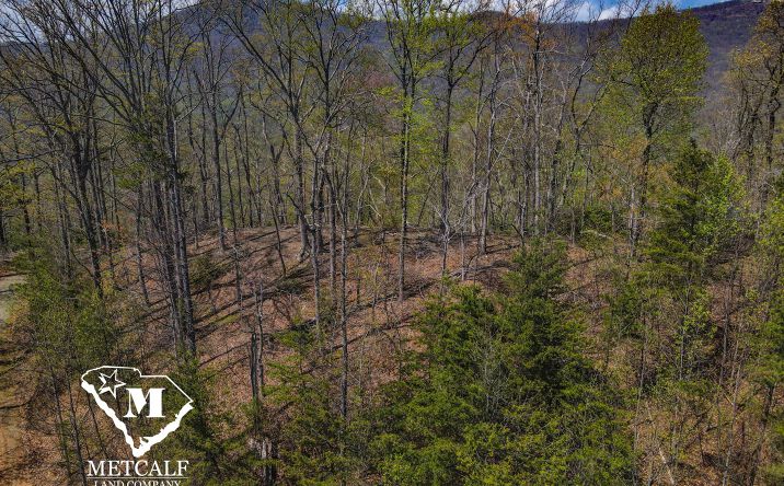 Pictures of Land property located at Ragans Pointe, Tryon, NC 28782 for sales - image #1