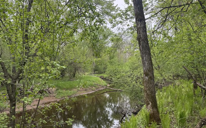 Pictures of Land property located at 13xxx Highway 23, Milaca, MN 56353 for sales - image #1