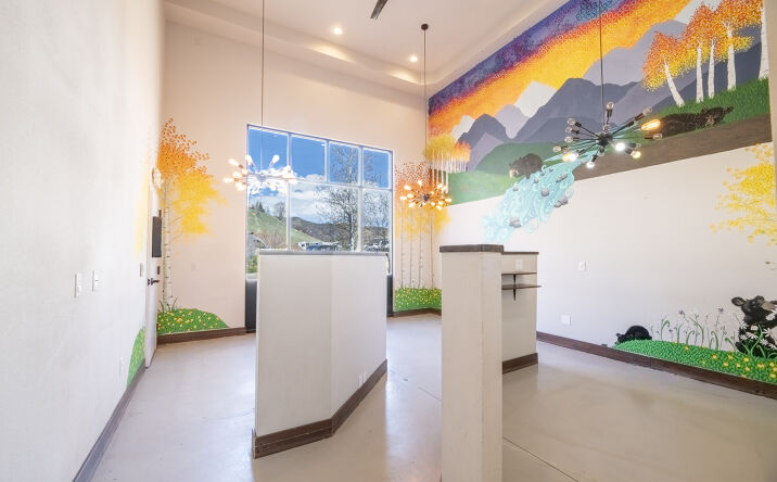 Pictures of Retail, Mixed Use property located at 2700 Lincoln Avenue, Steamboat Springs, CO 80487 for sales - image #1