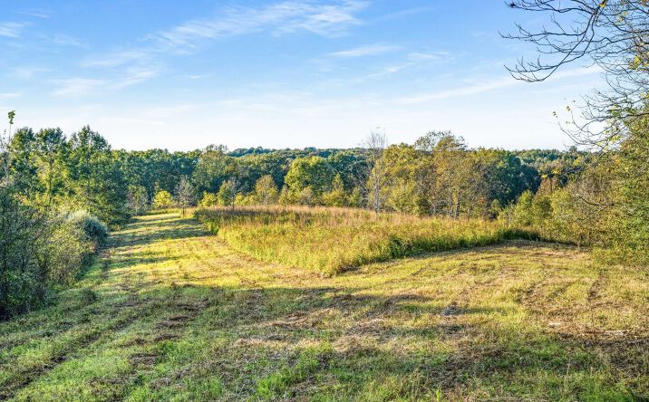 Pictures of Land property located at 697 Johnson Branch Rd, Williamsport, TN 38487 for sales - image #1