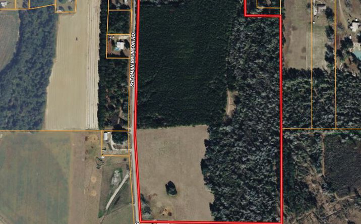 Pictures of Land property located at Sherman Brunson Road, Pansey, AL 36370 for sales - image #1