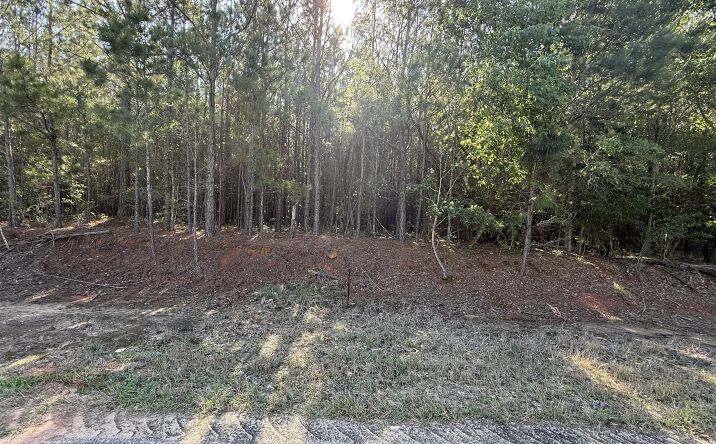 Pictures of Land property located at Sherman Brunson Road, Pansey, AL 36370 for sales - image #1