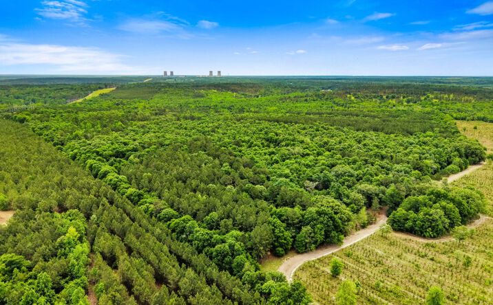 Pictures of Land property located at River Road, Waynesboro, GA 30830 for sales - image #1
