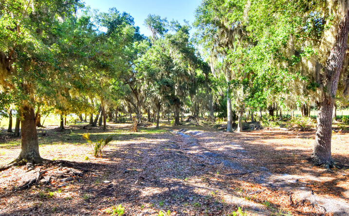 Pictures of Land property located at 18105 Dorman Road, Lithia, FL 33547 for sales - image #1