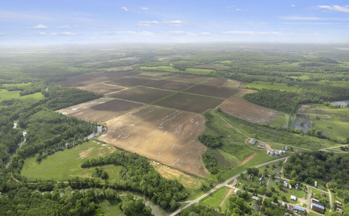 Pictures of Land property located at 7434 Missouri 51, Zalma, MO 63787 for sales - image #1