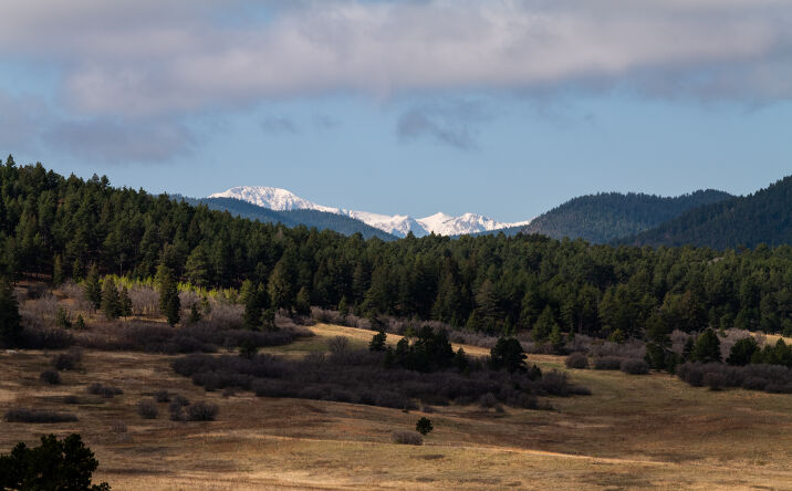 Pictures of Land property located at 100 NOE RD, LARKSPUR, CO 80118-6400 for sales - image #1