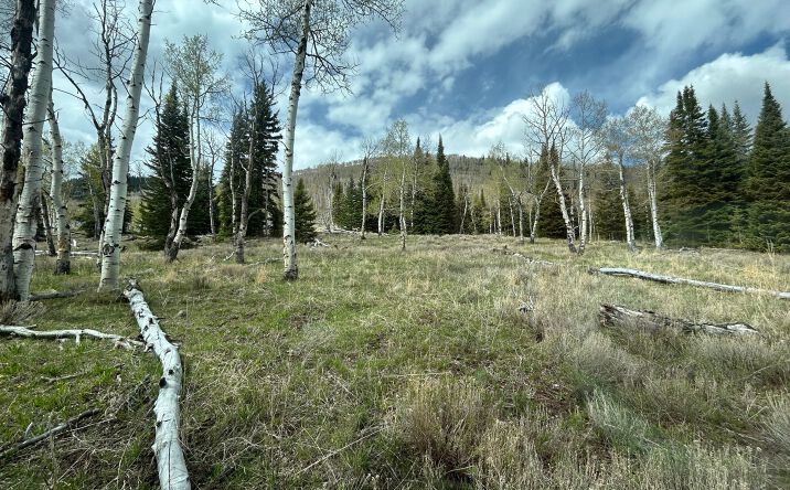 Pictures of Land property located at Green's Canyon & Hwy 96, Scofield, UT 84526 for sales - image #1
