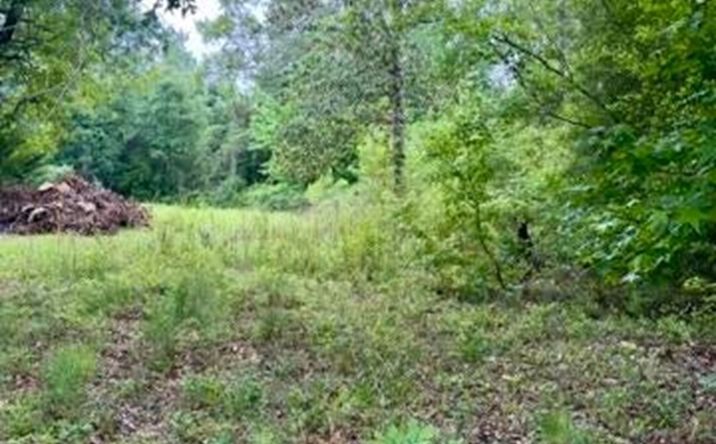 Pictures of Land property located at TBD Possum Trot Lane, Pitkin, LA 70656 for sales - image #1