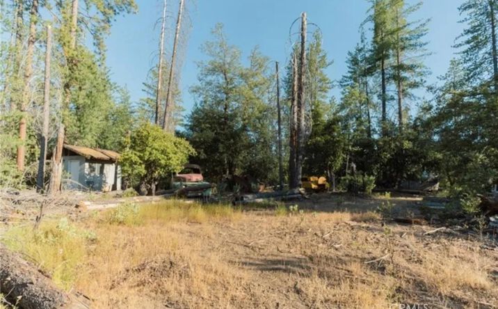 Pictures of Land property located at 10902 Stout, Coulterville, CA 95311 for sales - image #1