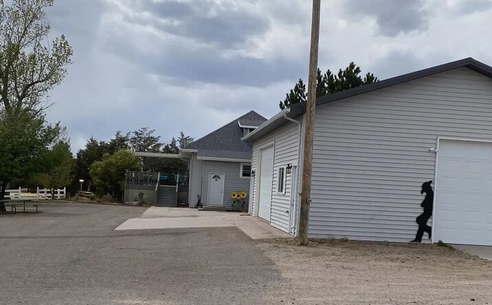 Pictures of Land property located at 3716 Longhorn Road, 77535, NE 69145 for sales - image #1
