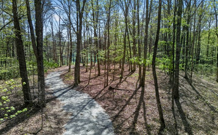 Pictures of Land property located at 2076 Timberwood Trace Lots 317&318, Monteagle, TN 37356 for sales - image #1