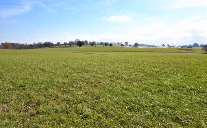 Pictures of Land property located at 120 Anderson Perkins Rd, Edmonton, KY 42129 for sales - image #1