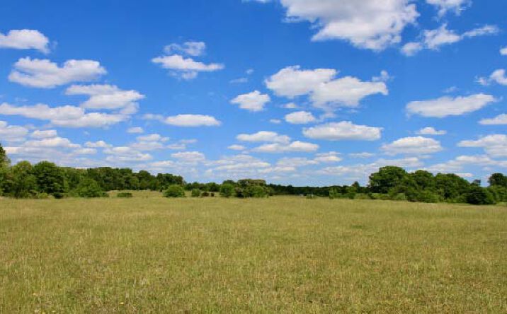 Pictures of Land property located at 528 Trinity Church Road, Mooresboro, NC 28114 for sales - image #1