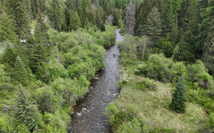 Pictures of Land property located at 156 Saddle Creek Road, Troy, MT 59935 for sales - image #1