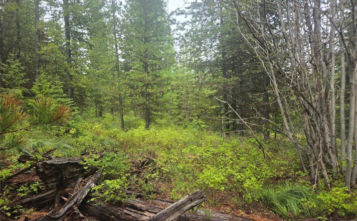 Tract 18 Nine Mile Road, HUSON