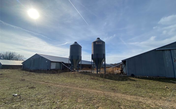 Pictures of Land property located at 68400 E 330th Road, Jay, OK 74346 for sales - image #1