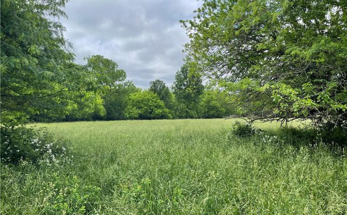 Pictures of Land, Special Purpose property located at TBD NW N Highway, Blairstown, MO 64726 for sales - image #1