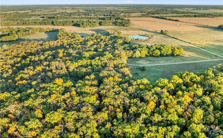 Pictures of Land, Special Purpose property located at 23529 - Tract 1 E Overland Road, Nevada, MO 64772 for sales - image #1