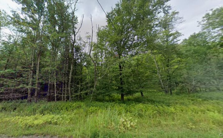 Pictures of Land property located at 780 Tanzman Road, Liberty, NY 12768 for sales - image #1