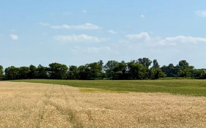 Pictures of Land property located at 0 S Highway BB, East Prairie, MO 63845 for sales - image #1
